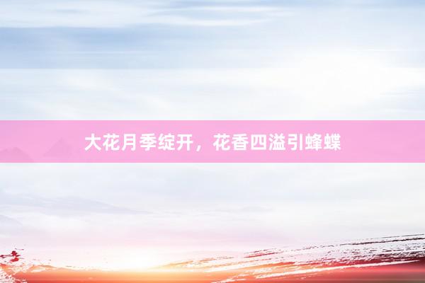 大花月季绽开,花香四溢引蜂蝶